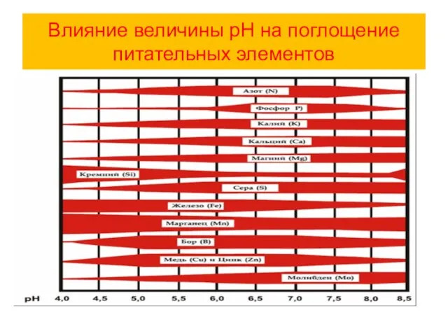 Влияние величины рН на поглощение питательных элементов