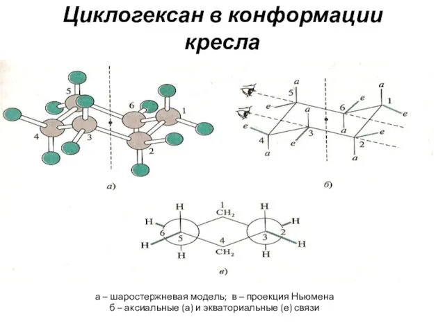 Циклогексан в конформации кресла а – шаростержневая модель; в – проекция