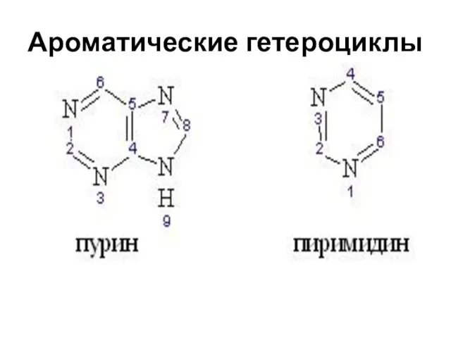 Ароматические гетероциклы