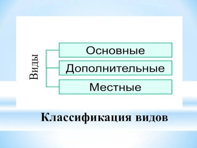 Классификация видов