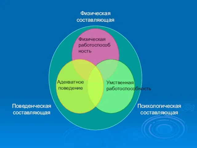 Физическая работоспособность Умственная работоспособность Адекватное поведение