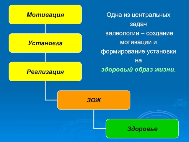 Одна из центральных задач валеологии – создание мотивации и формирование установки на здоровый образ жизни.