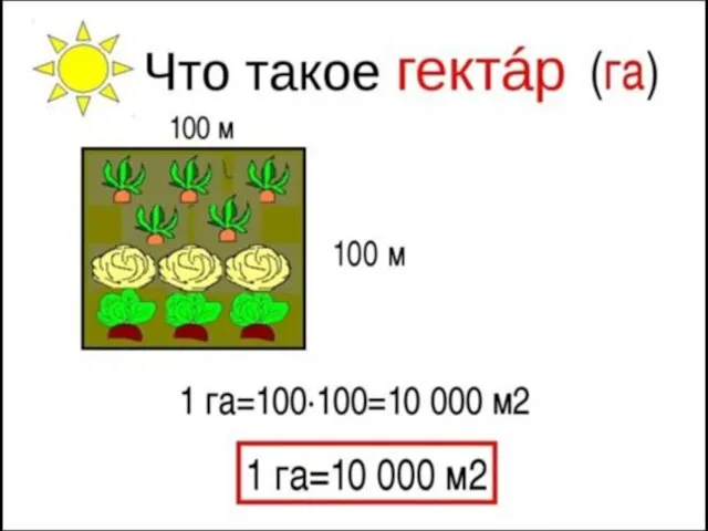 Гектар 1 га=10 000