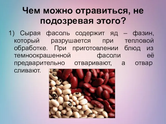 Чем можно отравиться, не подозревая этого? 1) Сырая фасоль содержит яд