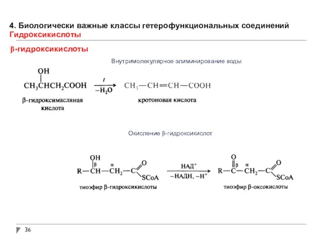 4. Биологически важные классы гетерофункциональных соединений Гидроксикислоты β-гидроксикислоты Внутримолекулярное элиминирование воды Окисление β-гидроксикислот