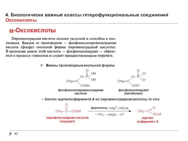 4. Биологически важные классы гетерофункциональных соединений Оксокислоты