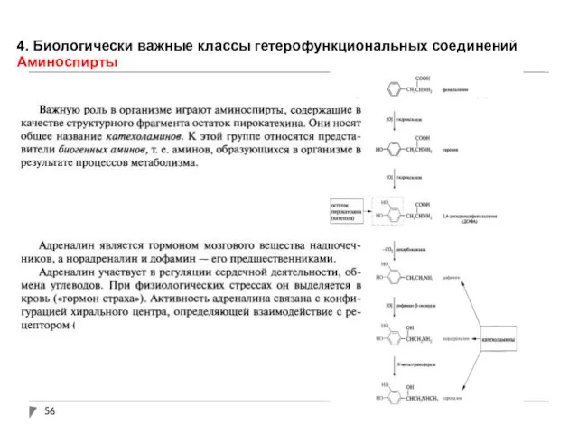 4. Биологически важные классы гетерофункциональных соединений Аминоспирты