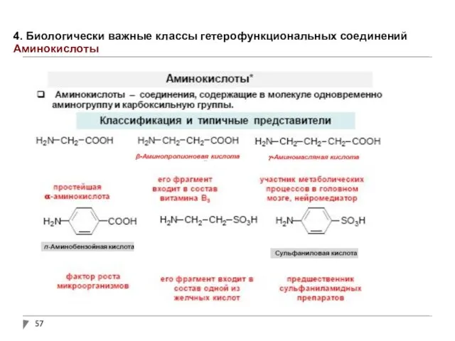 4. Биологически важные классы гетерофункциональных соединений Аминокислоты