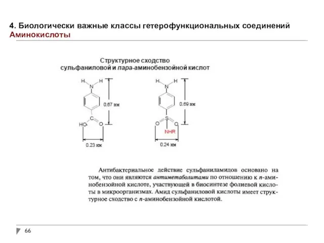 4. Биологически важные классы гетерофункциональных соединений Аминокислоты