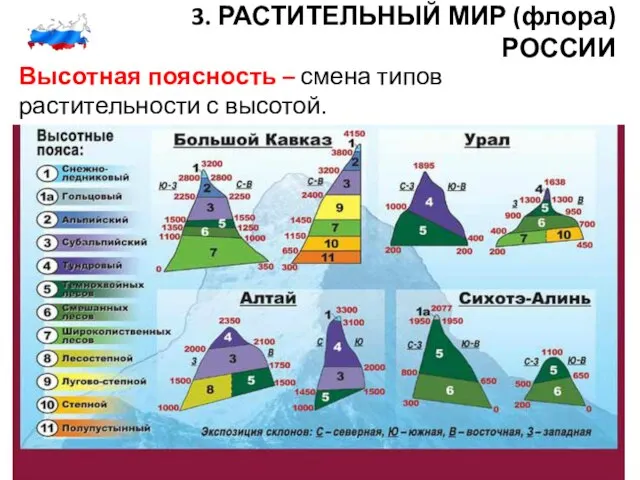 3. РАСТИТЕЛЬНЫЙ МИР (флора) РОССИИ Высотная поясность – смена типов растительности с высотой.