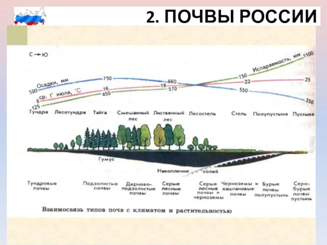 2. ПОЧВЫ РОССИИ