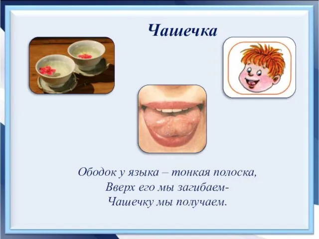 Чашечка Ободок у языка – тонкая полоска, Вверх его мы загибаем- Чашечку мы получаем.