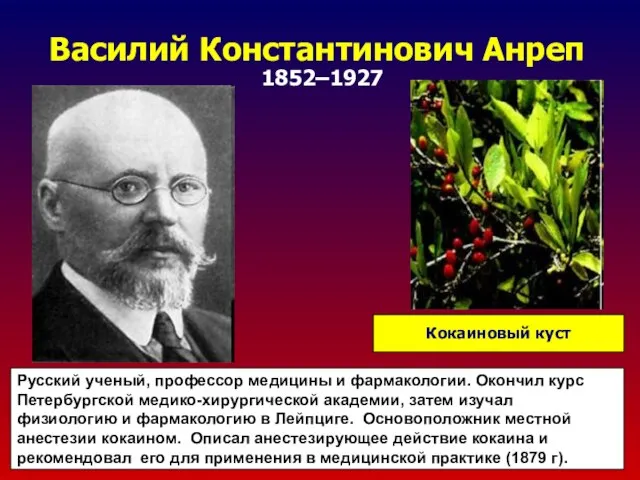 Василий Константинович Анреп 1852–1927 Русский ученый, профессор медицины и фармакологии. Окончил