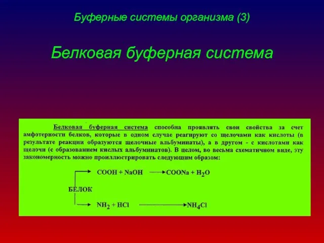 Буферные системы организма (3) Белковая буферная система