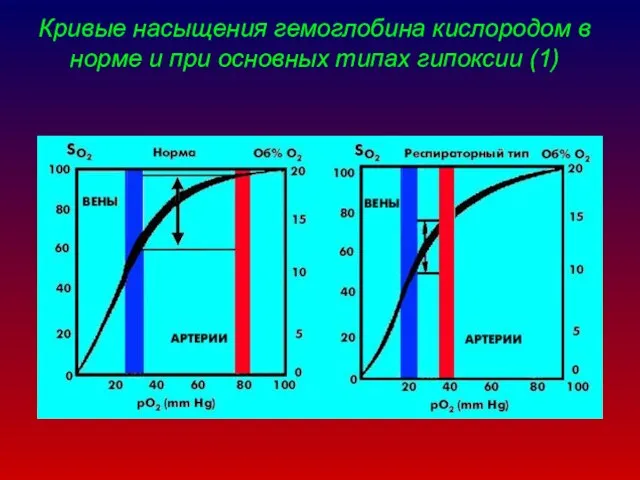 Кривые насыщения гемоглобина кислородом в норме и при основных типах гипоксии (1)