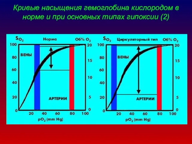 Кривые насыщения гемоглобина кислородом в норме и при основных типах гипоксии (2)