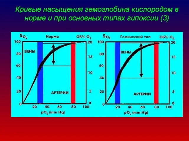 Кривые насыщения гемоглобина кислородом в норме и при основных типах гипоксии (3)