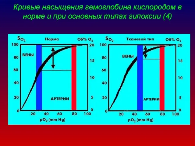 Кривые насыщения гемоглобина кислородом в норме и при основных типах гипоксии (4)