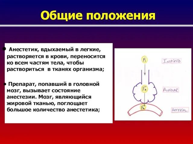 Общие положения Анестетик, вдыхаемый в легкие, растворяется в крови, переносится ко