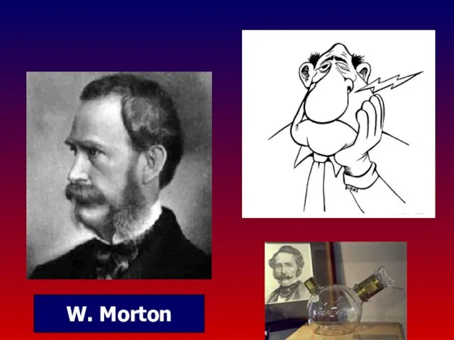 W. Morton