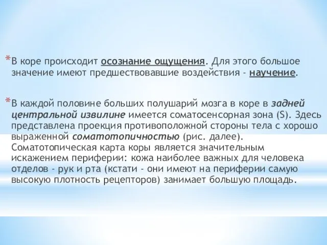 В коре происходит осознание ощущения. Для этого большое значение имеют предшествовавшие