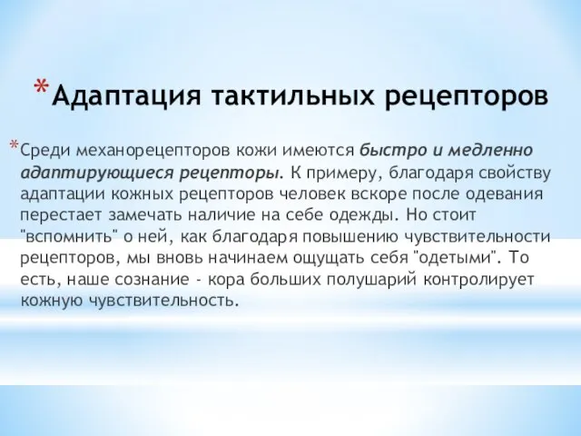 Адаптация тактильных рецепторов Среди механорецепторов кожи имеются быстро и медленно адаптирующиеся