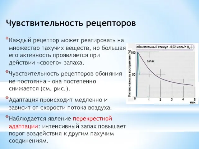 Чувствительность рецепторов Каждый рецептор может реагировать на множество пахучих веществ, но