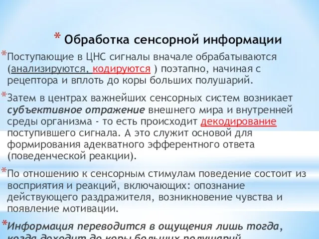 Обработка сенсорной информации Поступающие в ЦНС сигналы вначале обрабатываются (анализируются, кодируются