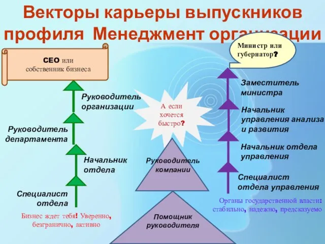 Векторы карьеры выпускников профиля Менеджмент организации Руководитель компании