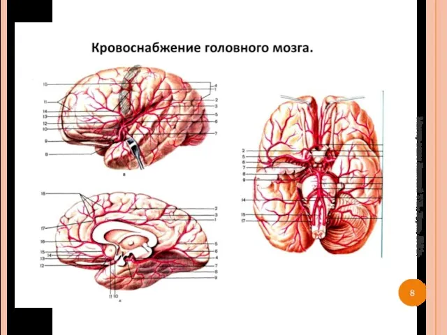 Мастер-класс Лаптевой Т.В., Курск, 2021г.