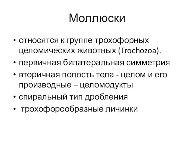 Моллюски относятся к группе трохофорных целомических животных (Trochozoa). первичная билатеральная симметрия