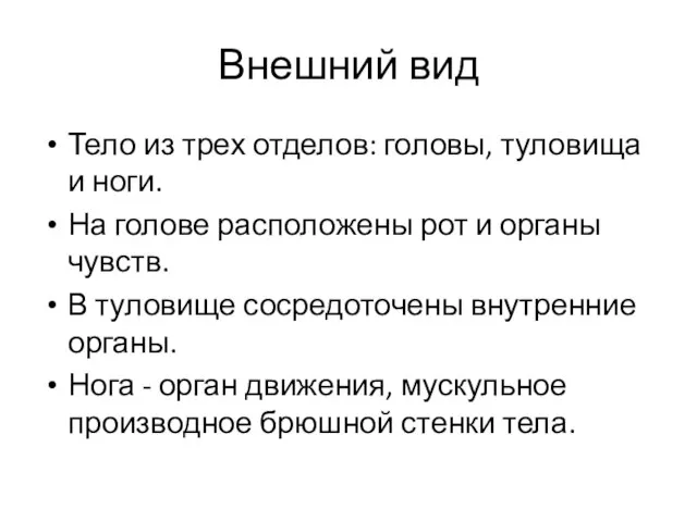 Внешний вид Тело из трех отделов: головы, туловища и ноги. На