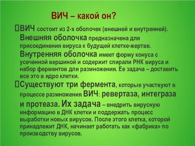 ВИЧ – какой он? ВИЧ состоит из 2-х оболочек (внешней и