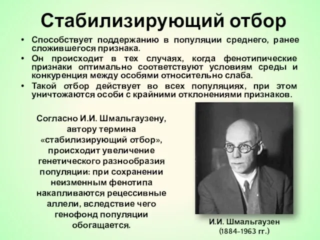 Стабилизирующий отбор Способствует поддержанию в популяции среднего, ранее сложившегося признака. Он