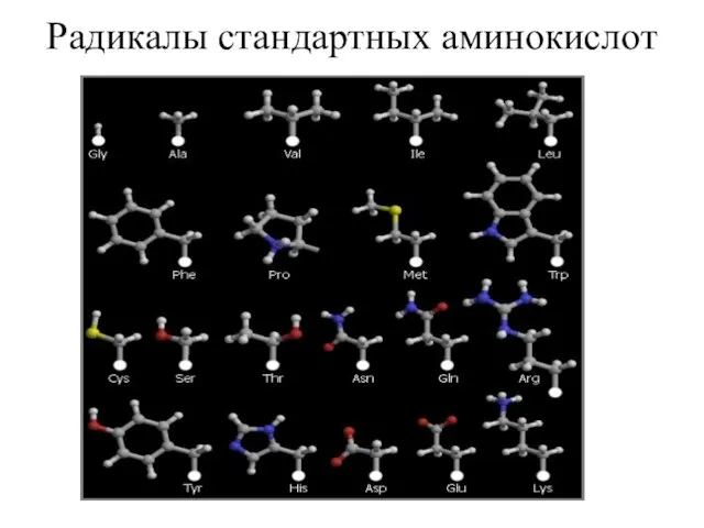 Радикалы стандартных аминокислот