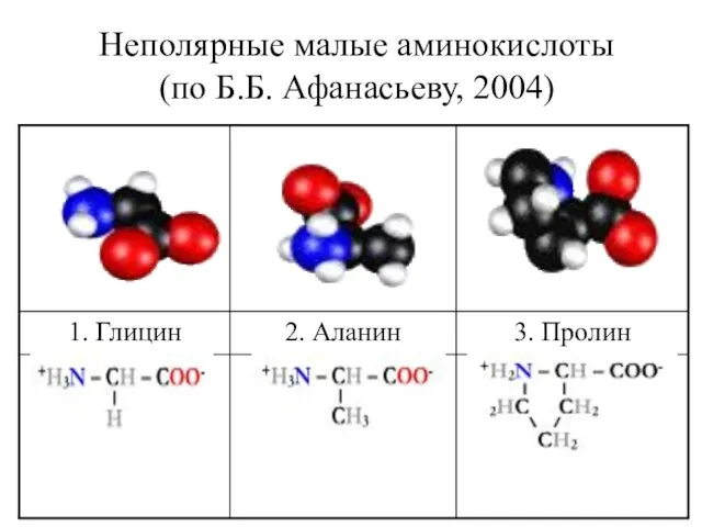 Неполярные малые аминокислоты (по Б.Б. Афанасьеву, 2004)