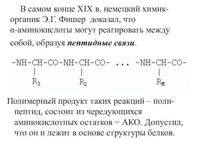 В самом конце ХIХ в. немецкий химик-органик Э.Г. Фишер доказал, что