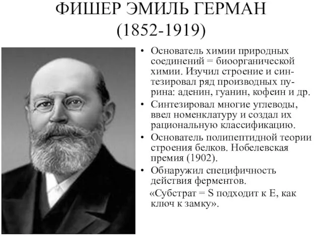 ФИШЕР ЭМИЛЬ ГЕРМАН (1852-1919) Основатель химии природных соединений = биоорганической химии.