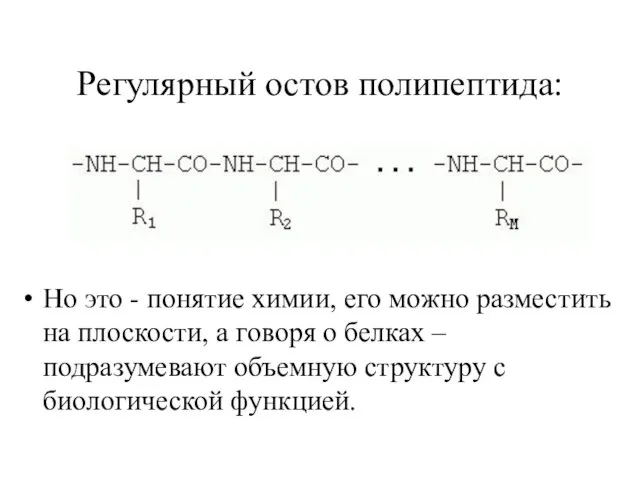 Регулярный остов полипептида: Но это - понятие химии, его можно разместить