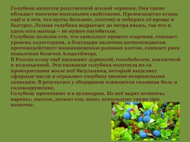 Голубика является родственной ягодой черники. Она также обладает многими полезными свойствами.