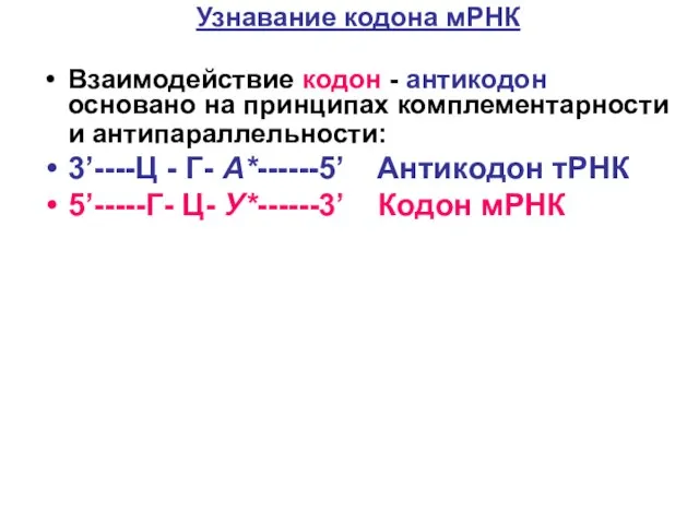 Узнавание кодона мРНК Взаимодействие кодон - антикодон основано на принципах комплементарности