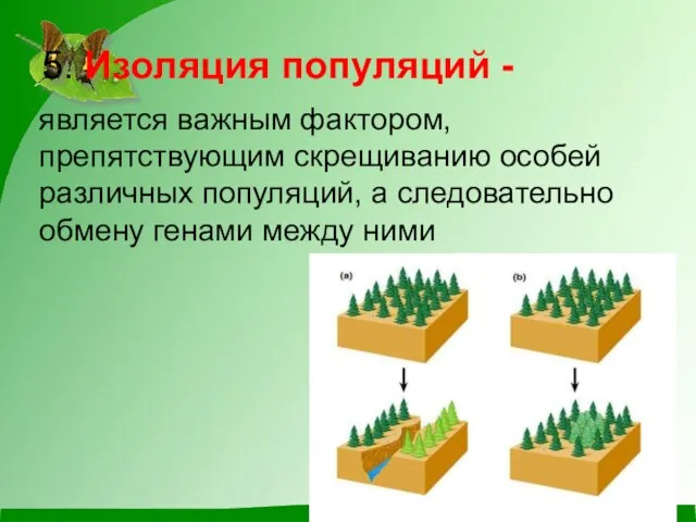 5. Изоляция популяций - является важным фактором, препятствующим скрещиванию особей различных