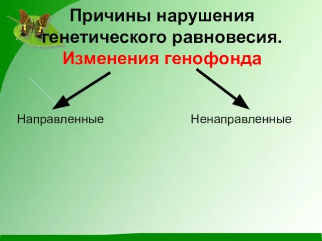 Причины нарушения генетического равновесия. Изменения генофонда Направленные Ненаправленные