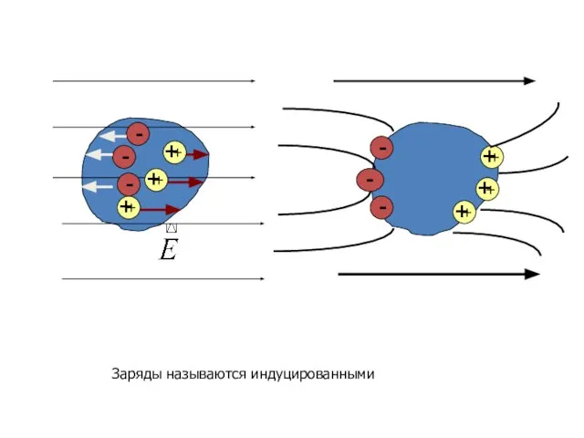 - - - - - - Заряды называются индуцированными