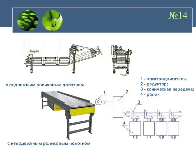 №14 с подвижным роликовым полотном с неподвижным роликовым полотном Роликовый транспортер