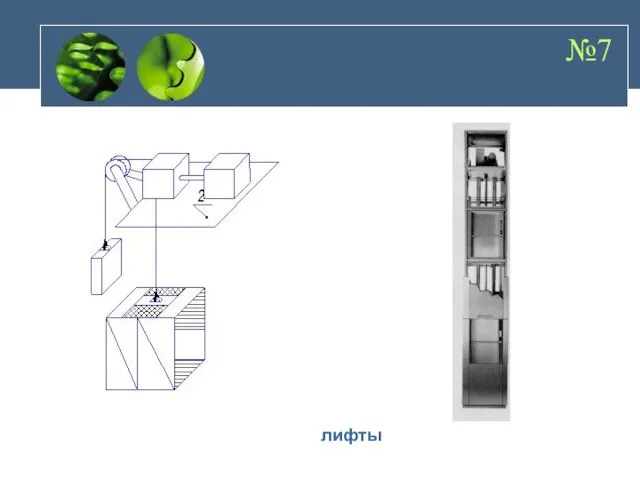 №7 лифты
