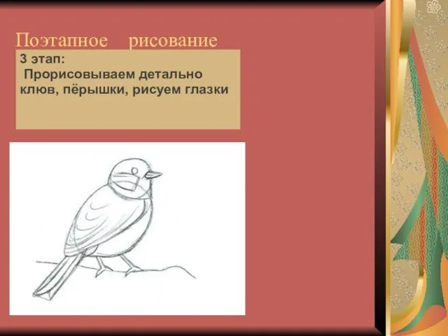 Поэтапное рисование 3 этап: Прорисовываем детально клюв, пёрышки, рисуем глазки