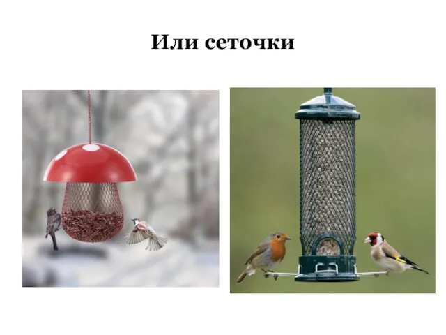 Или сеточки