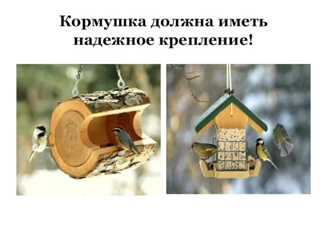 Кормушка должна иметь надежное крепление!