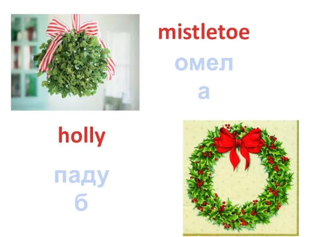 mistletoe омела holly падуб